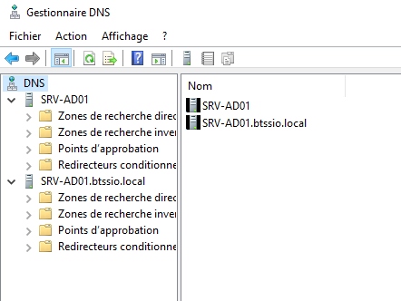DNS